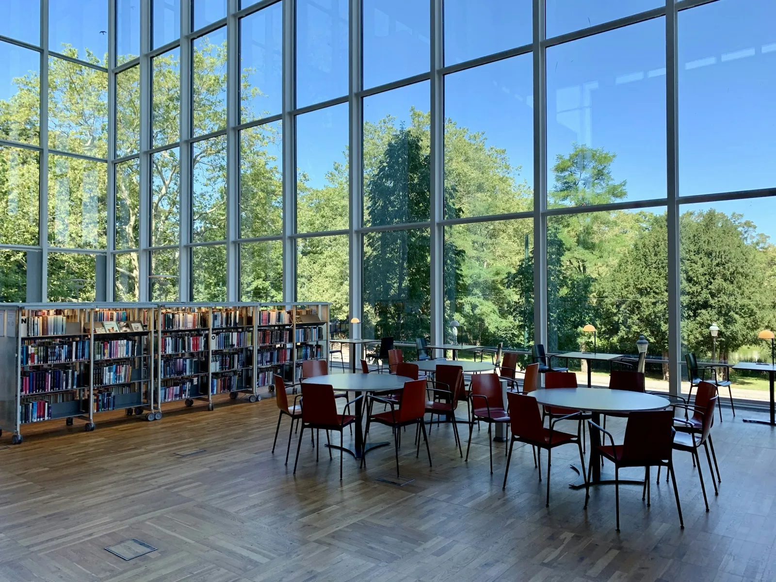 University library with tall windows and bookshelves