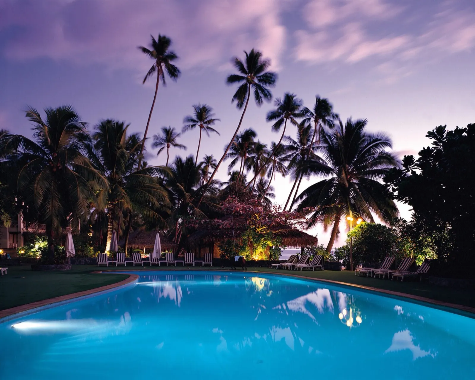 Piscina entre palmeras al atardecer