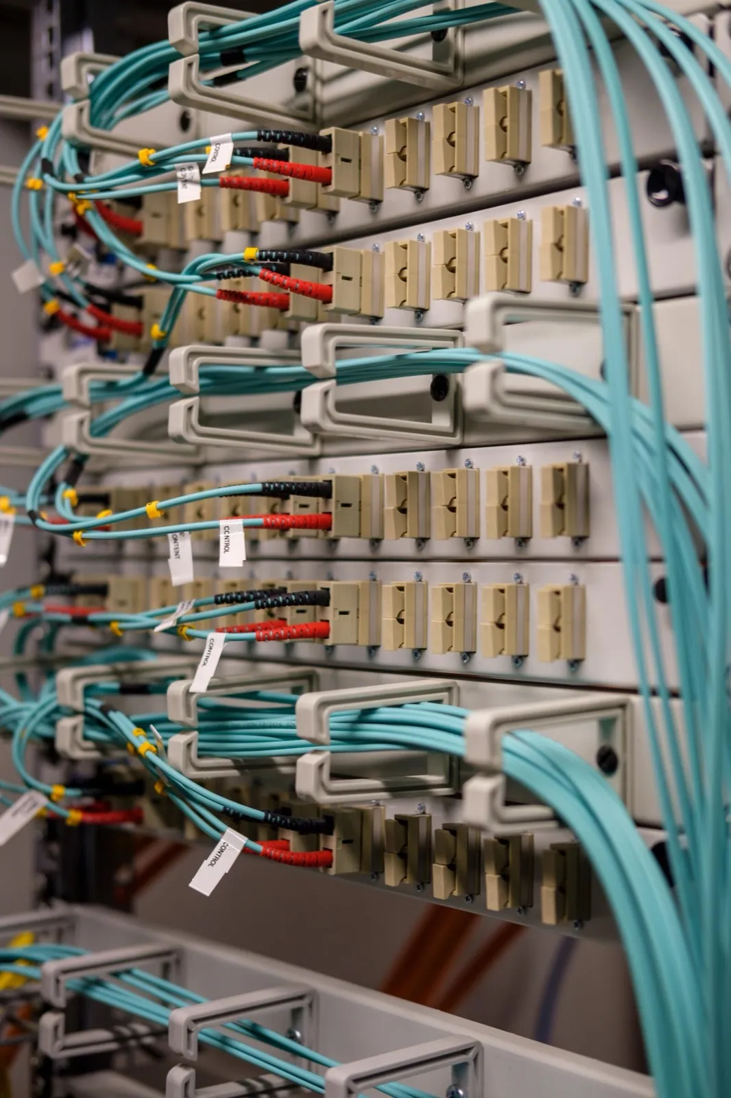 Cables de fibra óptica conectados a un panel de red